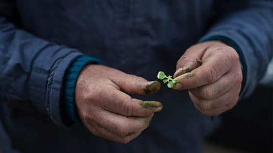 l1_thumbnail_22-sustainability-resized