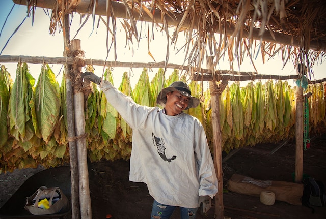 Farm worker in Nayarit, Mexico