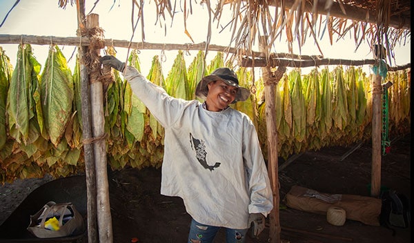 Farm worker in Nayarit, Mexico