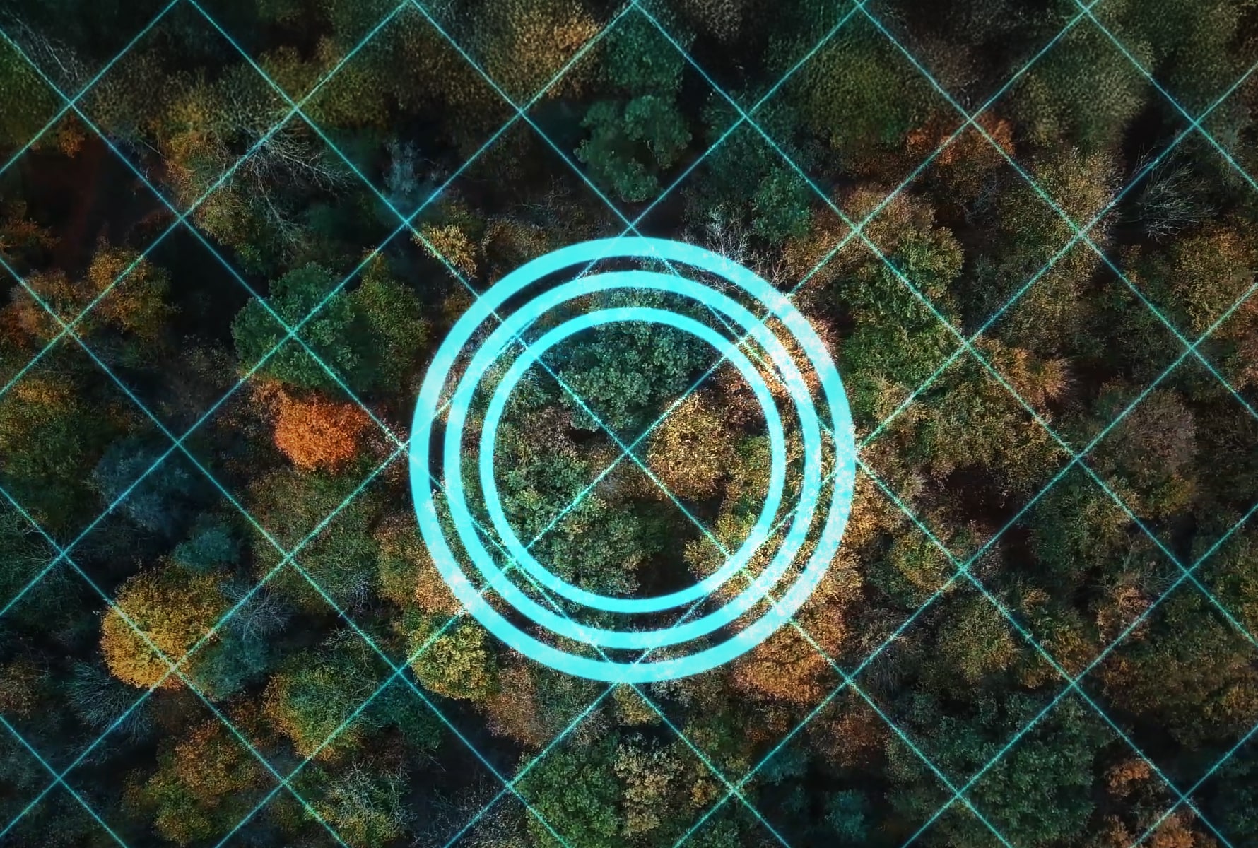 Forest with digital concentric circles placed over it
