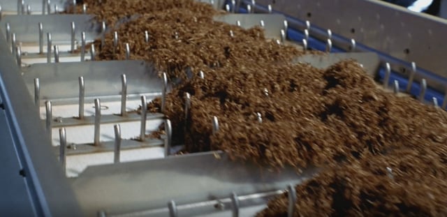 image for video 18