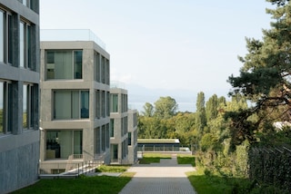 The view out to Lake Genava from beside the Philip Morris International Operations Center.