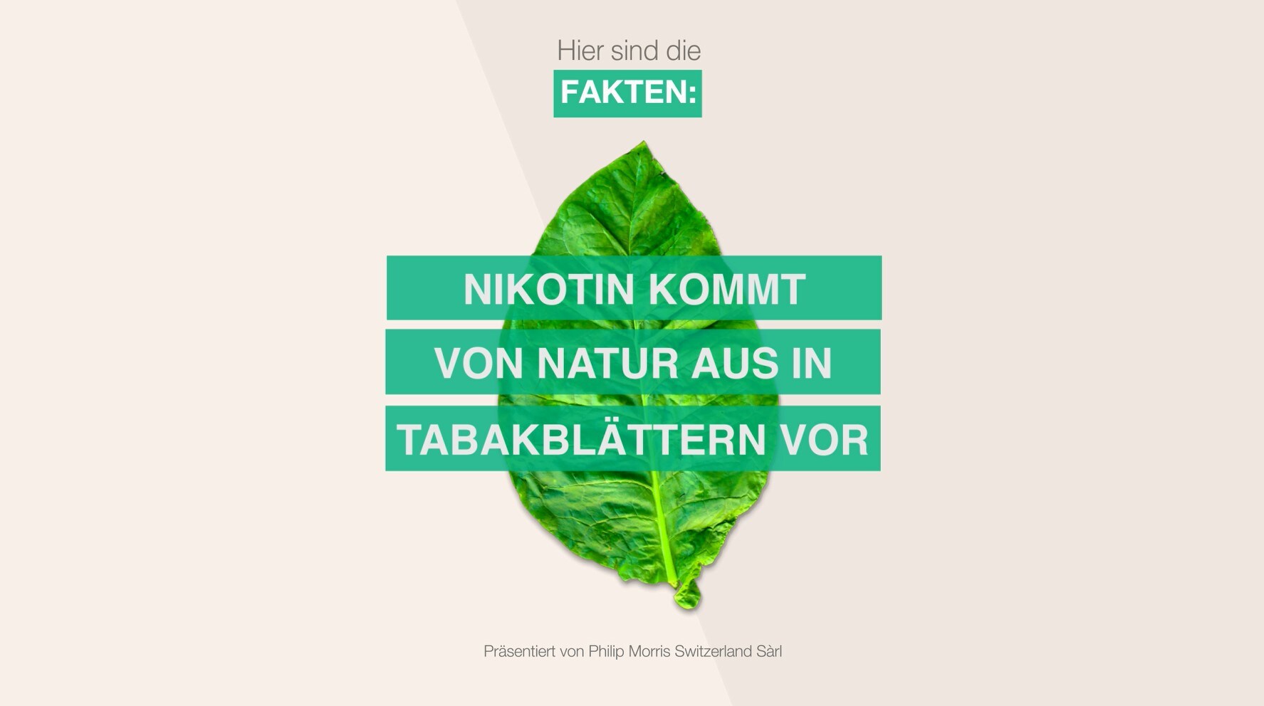 Thumbnail_Nicotine_DE