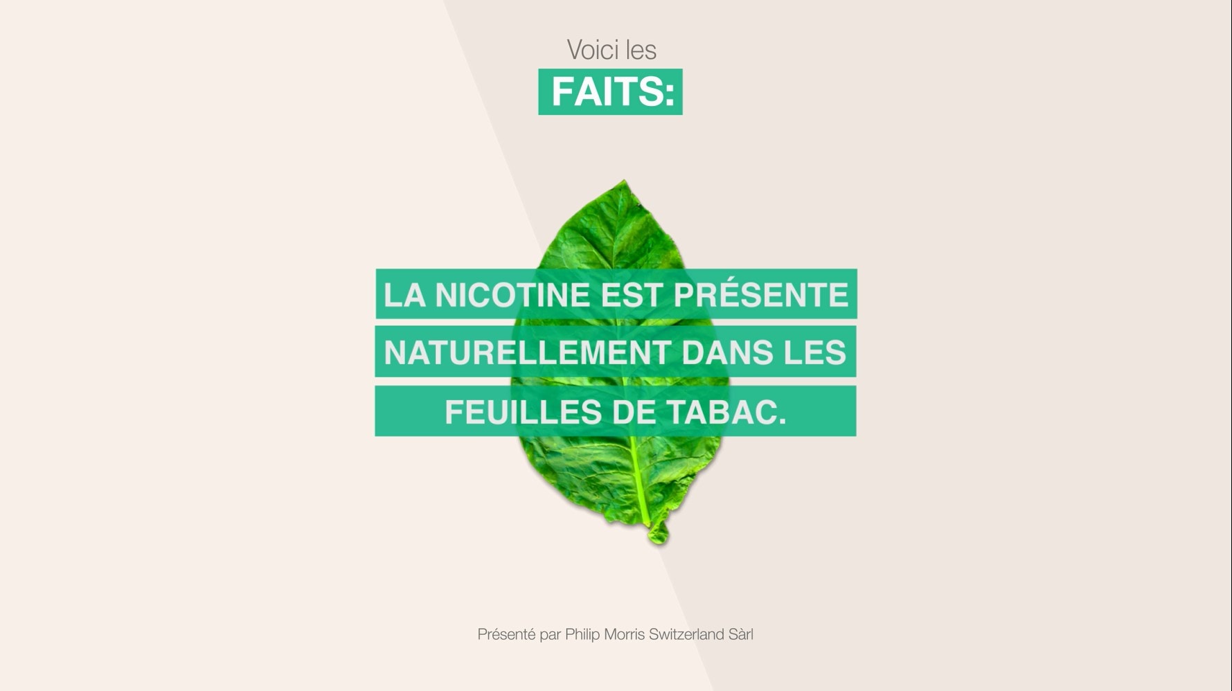 Thumbnail_Nicotine_FR