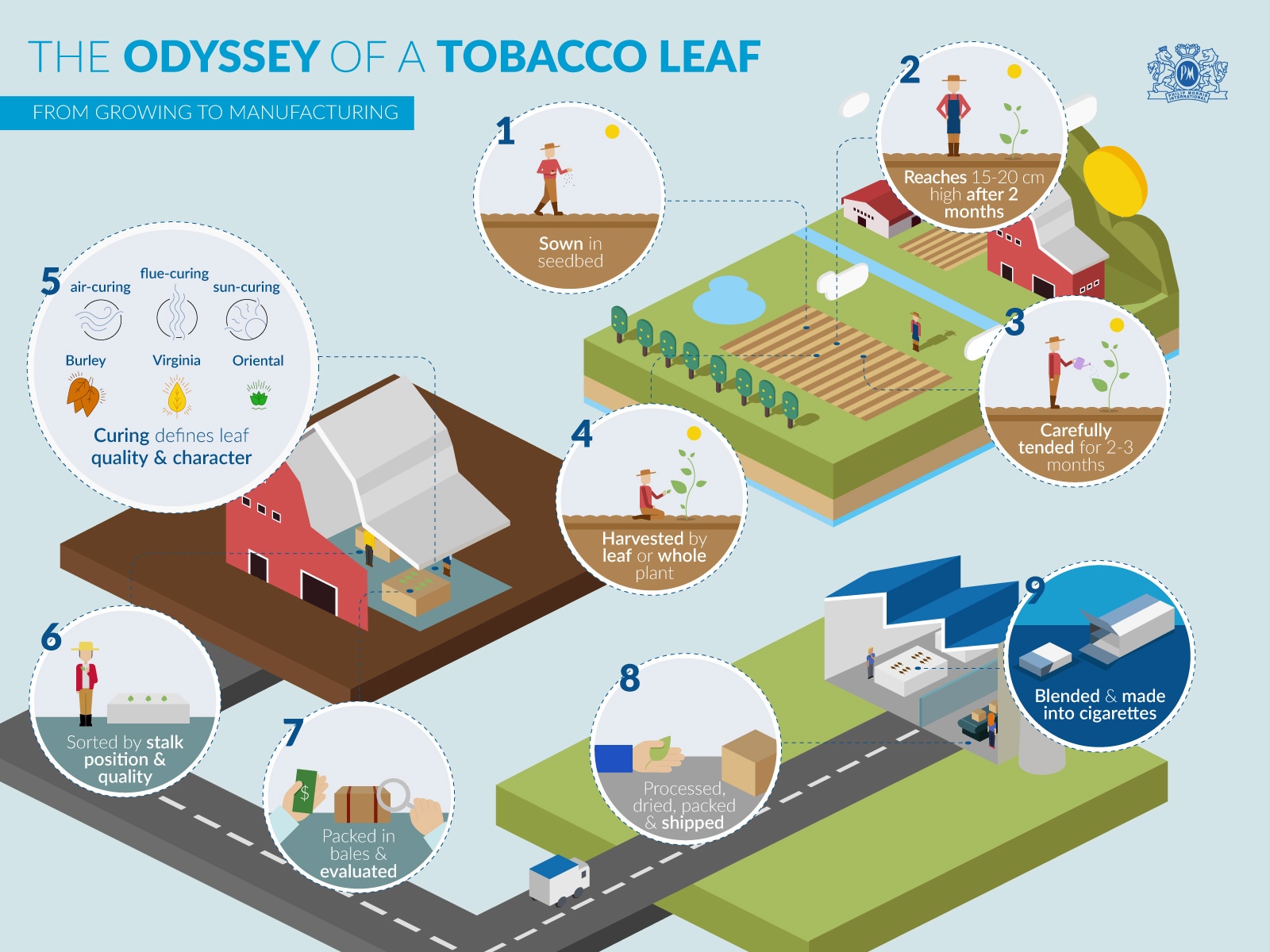 Philip Morris International (PMI) Our Business Tobacco Farming