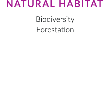 Table 0 sParam sValue  StoryID 295 ImportedCRC 0 FileCRC 0 StoryLinkName 2626905_295 icml StoryLinkPath Macintosh HD:Users:leewilkes:Library:Preferences:Ctrl:Temp:Upload:2626905_295 icml