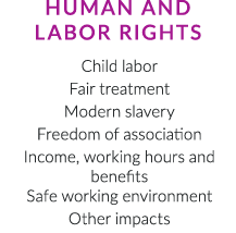 Table 0 sParam sValue  StoryID 296 ImportedCRC 0 FileCRC 0 StoryLinkName 2626905_296 icml StoryLinkPath Macintosh HD:Users:leewilkes:Library:Preferences:Ctrl:Temp:Upload:2626905_296 icml