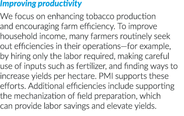Improving productivity We focus on enhancing tobacco production and encouraging farm efficiency  To improve household   