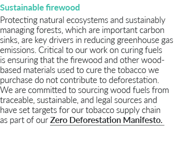Sustainable firewood Protecting natural ecosystems and sustainably managing forests, which are important carbon sinks   