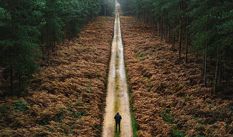 Statement of Purpose cover thumbnail Statement of Purpose cover thumbnail